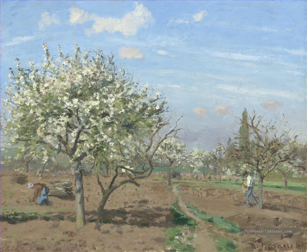verger en fleur louveciennes 1872 Camille Pissarro Peintures à l'huile